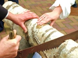 Baumstamm wird zersägt Brautpaar zersägt einen Baumstamm